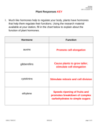 Plant Hormone Quiz Key