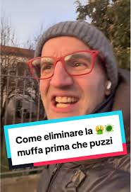 Come Togliere La Muffa Dai Muri Geo Pop