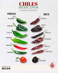 Hot Pepper Sweet Pepper Black Pepper Chili Chile Chilli A Peek Into The Confusing Naming Conventions Of Peppers Mexican Food Recipes Mexican Food Recipes Authentic Stuffed Peppers