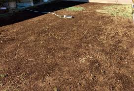 I'll be overseeding and seeding some bare areas next weekend. Arizona Gardeners Overseeding Bermuda Grass Lawns With Annual Rye Grass Home And Hearth Pinalcentral Com