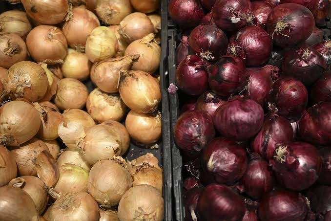 Onion
