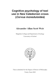 Pdf Behavioural Ecology Tool Manufacture By Naive Juvenile Crows