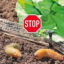 Tipps Gegen Schnecken Im Garten Gruneliebe Schnecken Im Garten Schneckenzaun Schadlinge Im Garten