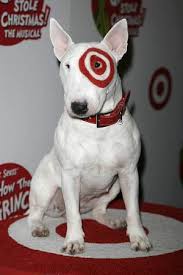 The Target Bullie Internet Star English Bull Terrier Dog Funnyphoto Funnydog Dogs Targetbully Mini Bull Terriers English Bull Terriers Bull Terrier