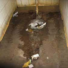 Raw Sewage Clean Up – Sewage Cleaning