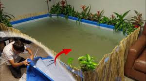 We did not find results for: My New Mini Indoor Pool Pond Youtube