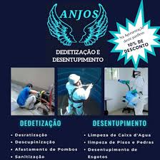 Anjos Dedetização e Desentupimento