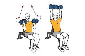 Named after arnold schwarzenegger, the arnold press is a variation on the conventional shoulder press. Arnold Press Exercises Workouts And Routines