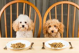 Dogs Waiting At The Table To Eat Their Dog Food Dinner Best Dog Food Can Dogs Eat Oranges Can Dogs Eat