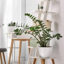 Our selection of plastic plant pots is vast, covering a large choice of round and square pots in an array of sizes to suite your growing needs. Buy Amazing Creation Large Flower Pots Round Garden Planters For Indoor Or Outdoor Gardening Set Of 2 Flowerpots Big Decorative Stone Grey Plastic Plant Holder With Deeper Root Depth Reusable Potters Online