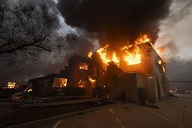 L.A. Fire Victim, 66, Died with Garden ...