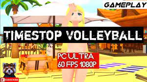 Timestop Volleyball Gameplay PC Ultra 1080p - GTX 1060 - i5 2500 Test $ -  YouTube