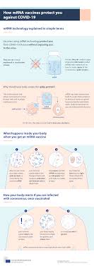 A second one is hot on its heels. How Mrna Vaccines Protect You Against Covid 19 Consilium