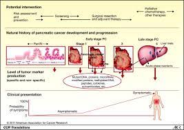 Historically, doctors have given pancreatic cancer patients chemotherapy or radiation hoping it would cause the tumor to. Markers Of Pancreatic Cancer Working Toward Early Detection Clinical Cancer Research