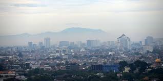 You may have to register before you can post: Kemenkeu Beberkan Akselerasi Program Pemulihan Ekonomi Di 2021 Merdeka Com