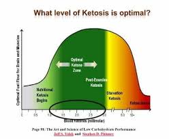 the best way to monitor ketone levels