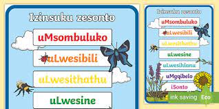 We come across texts and speeches in our day to day life where there is utilization of days more frequently. Days Of The Week In Zulu Garden Poster South Africa
