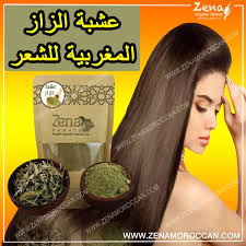 عشبة الزاز المغربية للشعر herbs for hair hair herbs