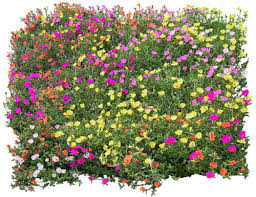 Gify Animacja Obrazki Png Zielono I Wiosennie Flower Texture Landscape Elements Trees Top View
