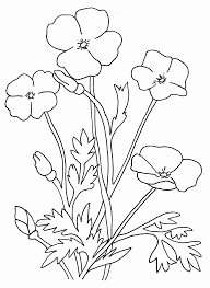 1297x1300 poppy flower design template royalty free cliparts, vectors 460x345 drawn poppy flower leaves. Coloring Pages Poppy Flower Coloring Home