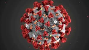 Lots of other viruses have similar symptoms to covid, including flu and other infections. Coronavirus Can Cause Stroke Psychosis Dementia Like Symptoms Covid 19 Study Al Arabiya English