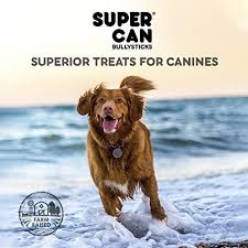 Pig ear treats can be nutritious and delicious treats for your dog to enjoy on a moderated basis. Supreme Pig Ears For Dogs Large Thick Premium Pork Ear Dog Treats All Natural And Healthy Chews For Puppies Medium And Large Dog Breeds 20 Pack Amazon Sg Home