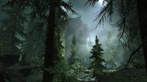 Foggy Forest Wallpaper High Definition For Free Wallpaper Forest Wallpaper Foggy Forest Forest Background
