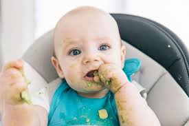 Baby Led Weaning 7 Fakten Die Eltern Kennen Sollten Active Beauty