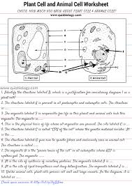 Plant Cell And Animal Cell Diagram Comparison Worksheet A Close Look Into The Amazing Cell Animal Cells Worksheet Cells Worksheet Plant And Animal Cells
