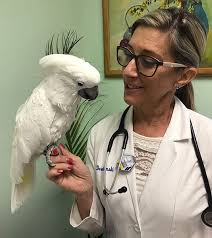 If you have an exotic pet, finding an exotic animal vet may take some extra effort. Exotic Pet Care In Raleigh Nc Bowman Animal Hospital Cat Clinic