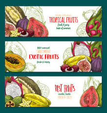 Maybe you would like to learn more about one of these? Banner Durian Vector Images Over 180