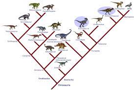We did not find results for: Penjelasan Tentang Cladogram Dan Gambarnya Brainly Co Id