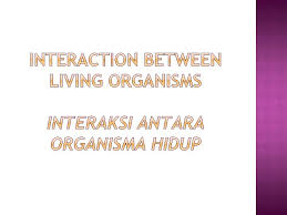 Teknik pengambilan keputusan kelompok dapat dilakukan antara lain dengan cara sebagai berikut: Interdependence Among Living Organisms The Environment Saling Bersandaran