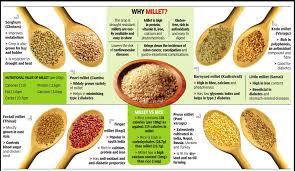 Nutrition in quinoa vs millet. Millets 101 Millet 101 By Ally Palaniappan Medium