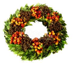 We did not find results for: Fresh Winter Fruit Wreath Stock Photos Freeimages Com