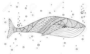 Coloring page with whale in flowers and leafs isolated on white background. Adult Coloring Book Page Design With The Image Whale Coloring Royalty Free Cliparts Vectors And Stock Illustration Image 55020731