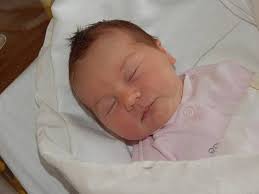 Fotogalerie: Miminka Jihočeský kraj 8. týden roku 2023