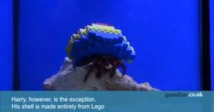 Harry The Hermit Crab Rocks A Lego Decorated Shell With Images Hermit Crab Lego Decorations Lego
