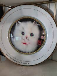 Bizarre cat plate