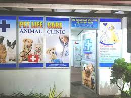 What should i feed them? Pet Life Care Animal Clinic Home Facebook