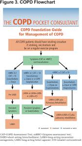 The New Copd Pocket Consultant Guide App Journal Of The