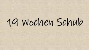 19 Wochen Schub Der 4 Entwicklungsschub