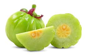 Image result for Garcinia buchneri