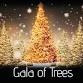 17th Annual Gala of Trees Silent Auction At Wobbly event image