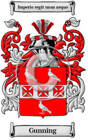 نتیجه جستجوی لغت [gunning] در گوگل