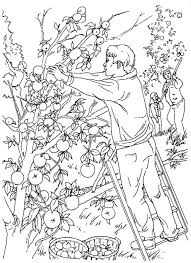 Picking Apples In The Orchard Living In The Country Coloring Book Page Coloring Books Coloring Book Pages Country Scenes