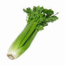 Celery Clipart Clip Art Library