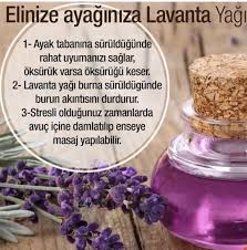 Lavanta Yagi Neye Iyi Gelir Lavanta Yaginin Cilde Ve Saca Faydalari Lavanta Makyaj Kirpik