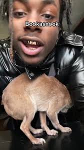 Baltimore Accent with Bookasnook: A Madden Kid's Hilarious Video