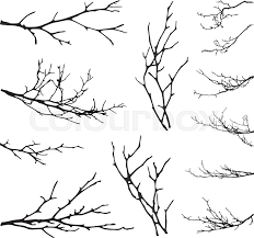 Drawing realistic trees using broadbrush pencil technique. Realistic Set Of Tree Branches Stock Vector Colourbox